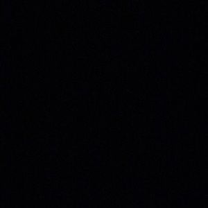 Meet your Posher, Shane